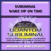Brainwave Mind Voyages